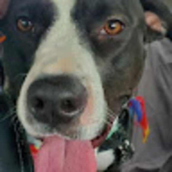 Meet your Posher, Nancy - Picture 1 of 1